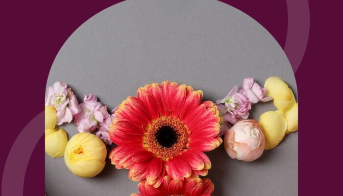 ginekolog prywatnie w Mikołowie